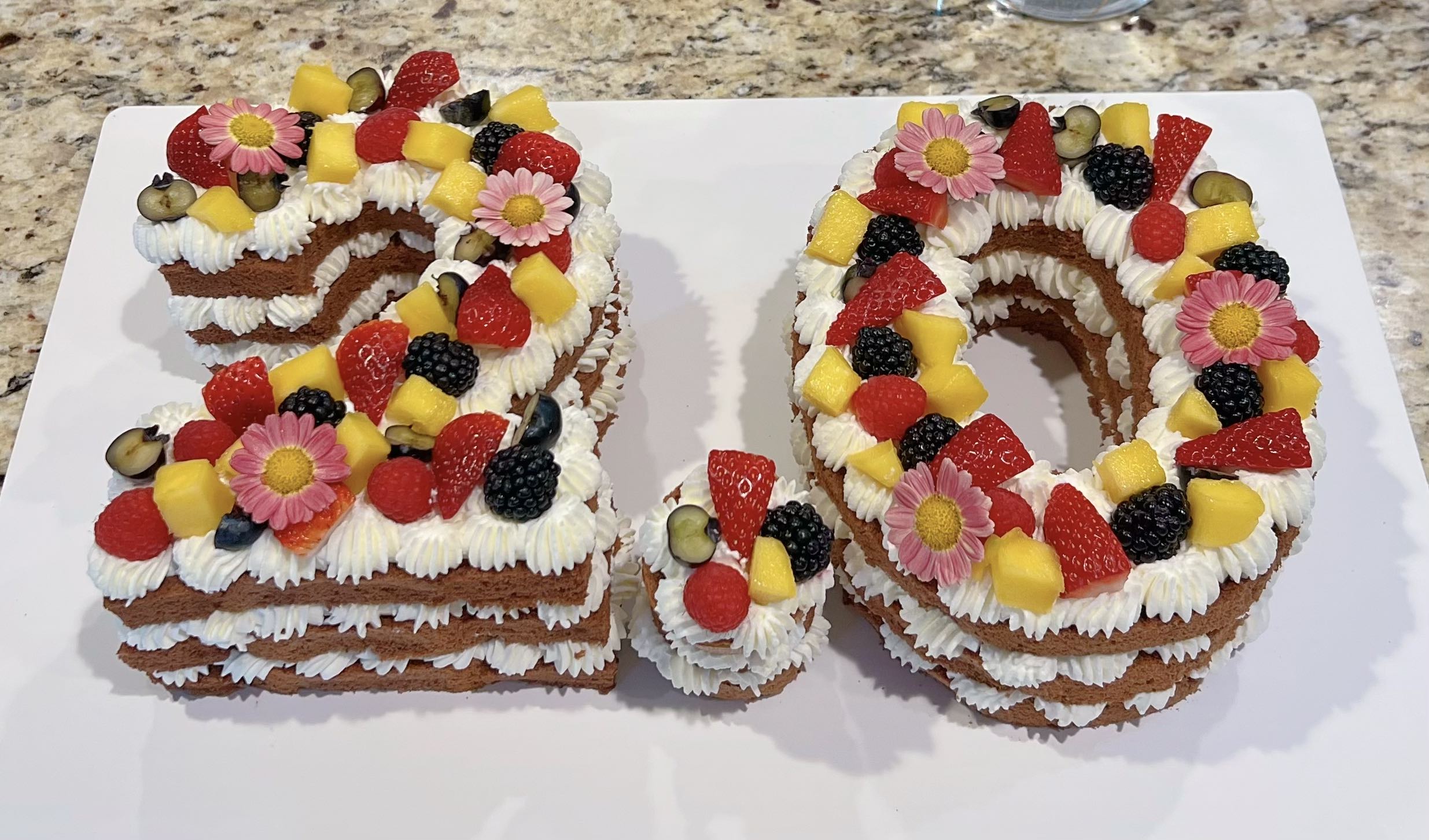 SuperSocket 2.0 cake